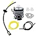 HQparts Carburetor Fuel line Replace Walbro WYL-161-1 Carburetor Replacement