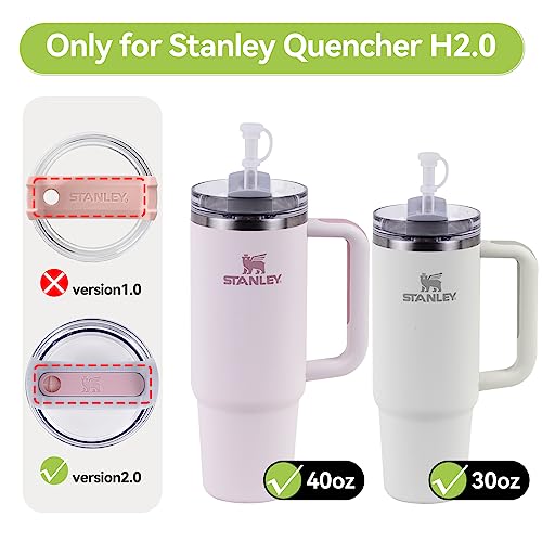 Hotanry Conjunto de 6 peças de rolha de derramamento para Stanley Quencher H2.0, copo de 1,13 l e 89