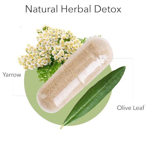 Kroeger Herb Products 545F Kroeger Herbs, Olive Leaf Extract Capsules For Immune System & Throat Relief, Olive Leaves, Vegetarian, Antioxidant Supplement thumb #1