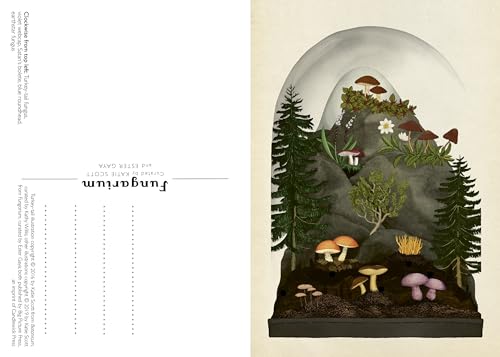Fungarium Postcard Box Set (Welcome to the Museum) - Image 2