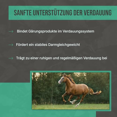 C44-Zittau Premium Futterkohle 0-3 mm für Pferde – 100% natürlicher Futtermittelzusatz für Verdauung, Stallhygiene, Geruchsbindung, Güllequalität & Darmflora – Made in Germany (10L)