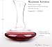 Large Elegant Red Wine Decanter Aerator Pourer - 100% Hand Blown Lead-Free Clear Crystal Glass - Wine Carafe Bottle, Wine Lovers Accessory Gift - 1600ml.
