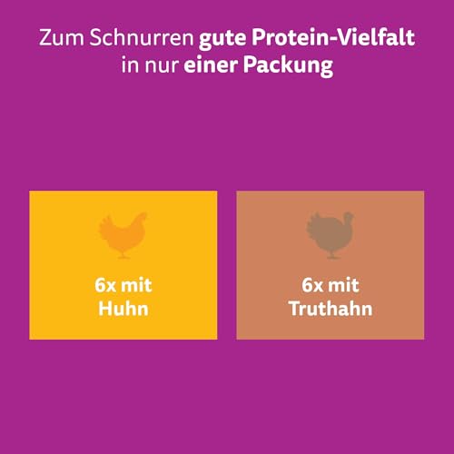Whiskas Senior 11+ Katzennassfutter Geflügel Auswahl in Gelee, 48 Portionsbeutel, 12x85g (4er Pack) – Hochwertiges Katzenfutter nass, für Katzen ab dem 11. Lebensjahr