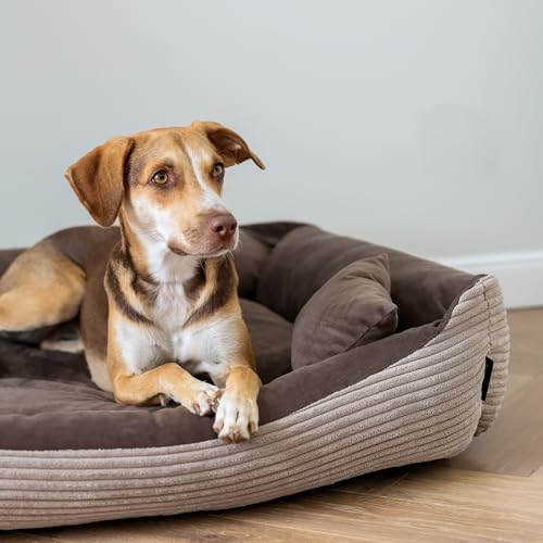 4L Textil Molly Hundebett Cord mittelgroße Hunde Hundekorb Hundekörbchen aus Cordstoff waschbar mit Bezug (80x60 cm, Braun)