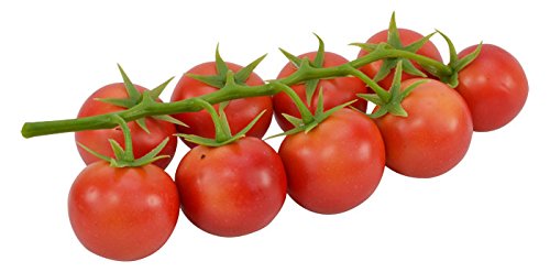 Props4shows Replica Cherry Tomato Truss
