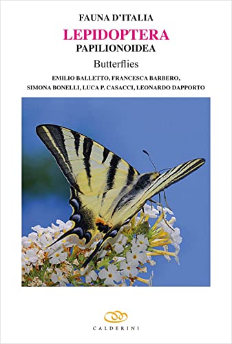 Lepidoptera Papilionoidea butterflies. Ediz. a colori (Fauna d'Italia)