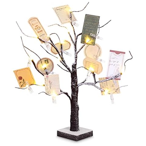 Coume LED Birch Money Tree Gift Holder Cover