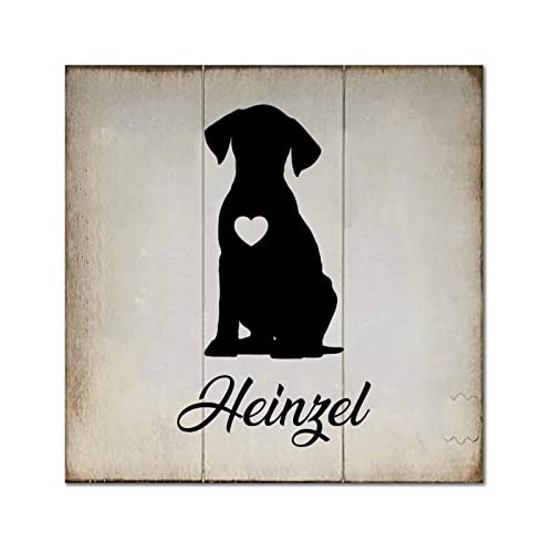 Plaque murale chien Shiba personnalisée en bois de 30 cm pour décoration de salon