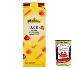 Italian Gourmet E.R.