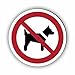 Produktbild Verbotszeichen/Verbotsschild Mitführen von Hunden verboten (P021) - zum markieren von Verbotszonen nach DIN EN ISO 7010