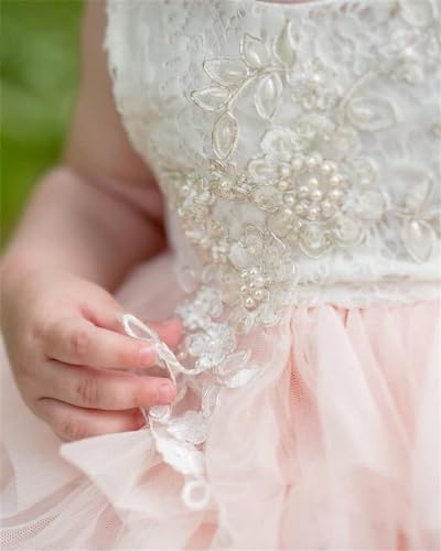 Topmaker 58-5V75-PY2H Toddler Girls Baby Girl Lace Back Tiered Tutu Tulle Flower Girl Dress Baby Girl Clothes Pink Dress  thumb #2