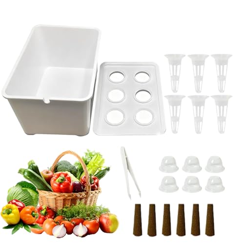 Kit de cultivo hidropónico, juego completo de sistema de cultivo, caja de plantas de interior, contenedor de circulación de agua, unidad de cultivo múltiple, lechuga, frutas, flores, balcón, parterre