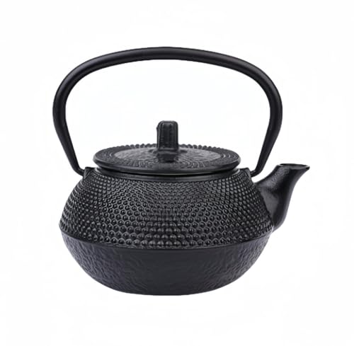 Lunyong 鉄瓶 鉄器 南部鉄器 急須 やかん・ケトル ih直火 対応 鉄びん 鉄の急須 やかん 茶こし付き おしゃれ 鉄分補給 ティーポット 伝統工芸品 贈り物 家庭用鉄ケトル 誕生日、結婚、 新築 、クリスマス、業務用、家庭用 (300ml)