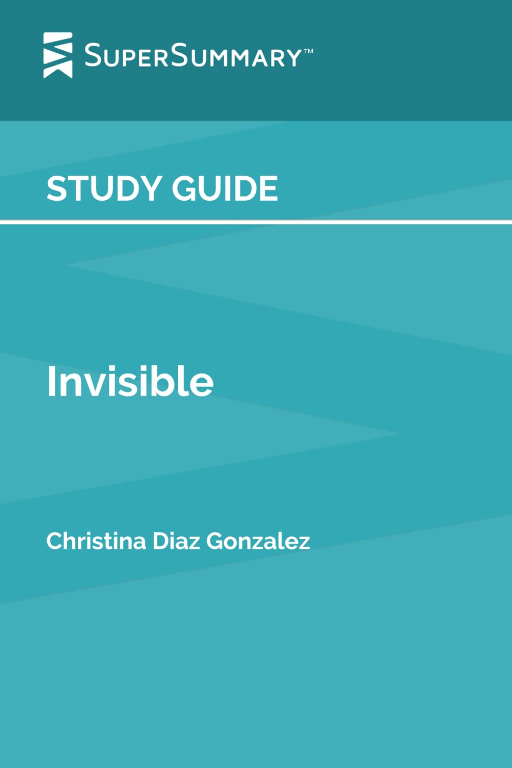 Study Guide: Invisible by Christina Diaz Gonzalez (SuperSummary)