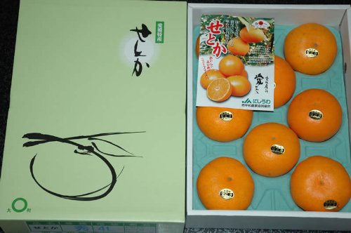 Amazon.co.jp: はちまるはち生鮮 贈答用 せとか 約2.7kg8～15個 化粧箱