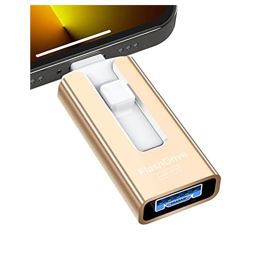 Sunany USB Flash Drive 256 GB Compatible with Phone and Pad, High Speed External Thumb Drives USB Memory Storage Photo Stick for Save More Photos and Videos (Gold)