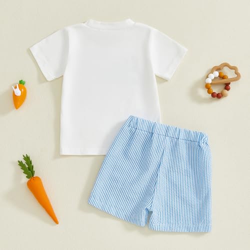 Image of Toddler Baby Boy Easter Rabbit Outfit Short Sleeve Bunny Carrot Smocked T-shirt Elastic Waist Shorts Summer Clothes
