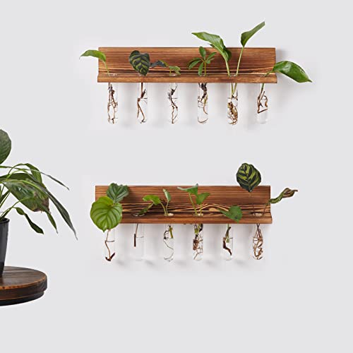Mokof Propagation Stations, Plant Propagation Wall Hanging, Propagated Plant Vase For Home Office Decor (2 Pack, 12 Tubes) #TOP3