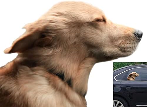 Toogod Riders Golden Retriever Car Sticker Window Decal for Vehicles Dog Window Cling(for Right Side)