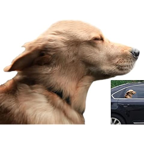 Toogod Riders Golden Retriever Car Sticker Window Decal for Vehicles Dog Window Cling(for Right Side) Cover