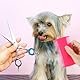 Ymapinc 6 Stück Doppelseitig Nissenkamm, Plastik Läusekamm Flohkamm Hunde Flohkamm für Katzen Läusekamm Kinder Haustierkamm Feinzahniger Kopflauskamm für Entfernung von Flöhen Zeckenissenkamm