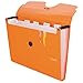 Five Star 6-Pocket Expanding File, 13 x 9.38 Inches, Orange (72923)