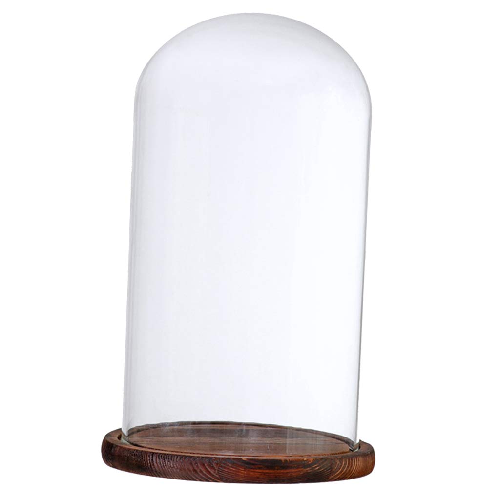 Cloche en verre avec support en bois marron pour dôme paysage de fleurs