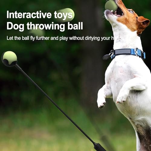 Lanceur interactif de jouets pour chiens pour les jeux dynamiques au parc - 3