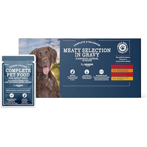 by Amazon Complete Food for Adult Dogs Cover