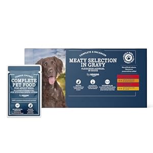 By Amazon – Complete Food for Adult Dogs – Meat Selection in Sauce, 4.8 kg, 48 Packs of 100 g