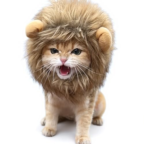 ybgp CIRXvXq 蕨 LpEBbO t  nEB LEp 28cm (uE, S)