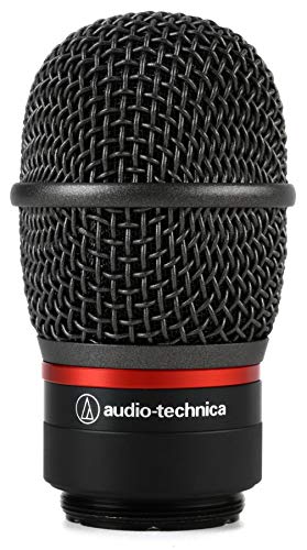 Audio-Technica Interchangeable Mic Capsule Interchangeable Hyper Cardioid Dynamic Microphone (ATW-C6100)