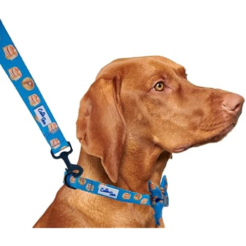 CUTIE TIES Dog Leash Breakfast Club– Durable Nylon Material - Premium Quality Leash for Dogs - Fancy Leashes - Cute Dog Leash in Two Sizes - (Breakfast Club, Large (1" x 6')) Cover