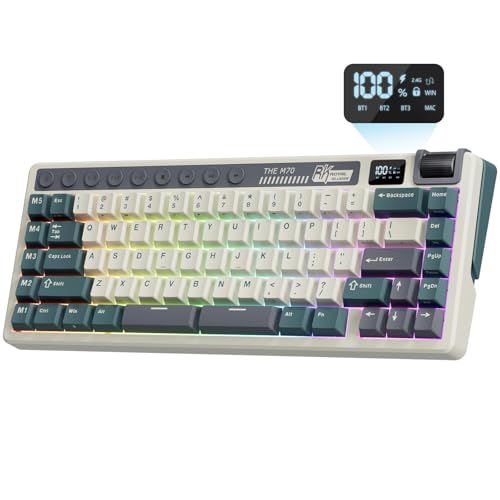 RK ROYAL KLUDGE M70 Wireless Mechanical Keyboard with Macro...