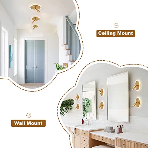 Kco Lighting Modern Flush Mount Led Ceiling Light Fixtures Gold Round Slim Close To Ceiling Lights With 1-Head Led Track Lighting Minimalist Circle Semi Flush Mount Ceiling Spot Light (Gold) #TOP3