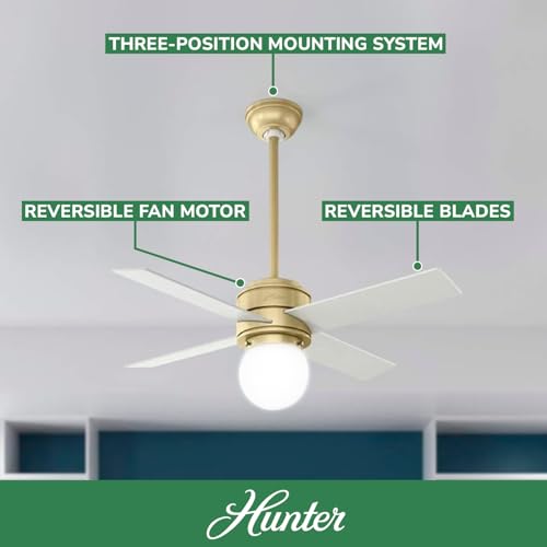 Image of Hunter Hepburn, Indoor, Ceiling Fan, with LED Light, 44 inch, Modern Brass