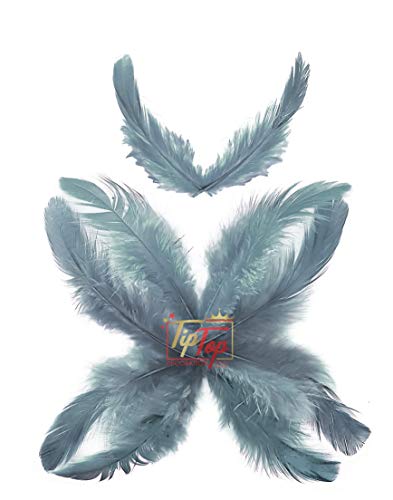 Image of TIPTOP DECORATION Natural Dyed Feathers 10 cm (80 pieces) (Grey)