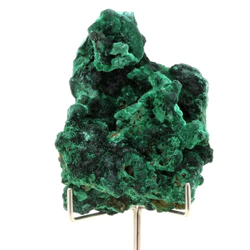 Malachite 524.5 Carats pierre naturelle verte Katanga Congo collection