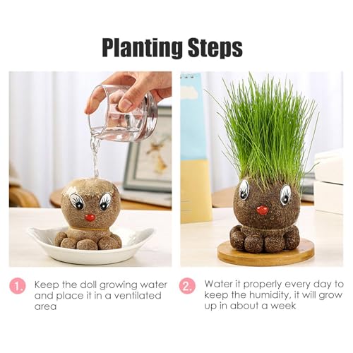 Pequeño paisaje con plantas para decorar el aula escolar 3