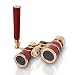 Produktbild Fernglas für die Oper, 3X25 Opernbrille mit zentralem Fokus FernglasTheaterbrille mit BAK-7 Prisma & Griff für Erwachsene Kinder Frauen im Konzerttheater Oper(Rotbraun)