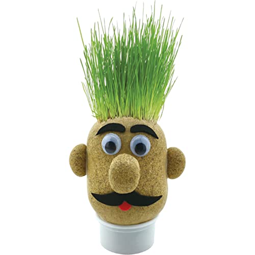Funtime Gifts Grasshead Novelty Grow Your Own Grass Head, Green
