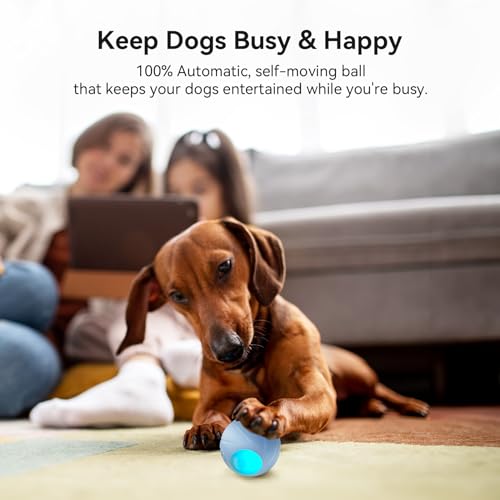 Cheerble-Smart-Interactive-Dog-Toy-Wicked-Ball-SE-Automatic-Moving-Bouncing-Rotating-Ball-Active-Rolling-Ball-for-Toy-and-Small-Dogs-Peppy-Pet-Ball-with-Lights-Fun-Birthday-Gift-Blue