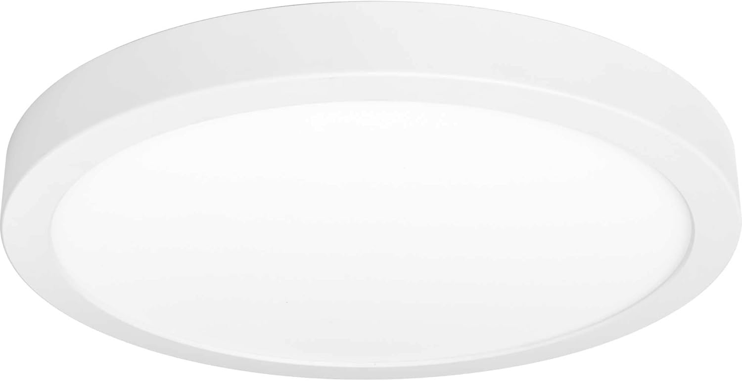 Progress Lighting Everlume Collection 14" Edgelit Surface Mount