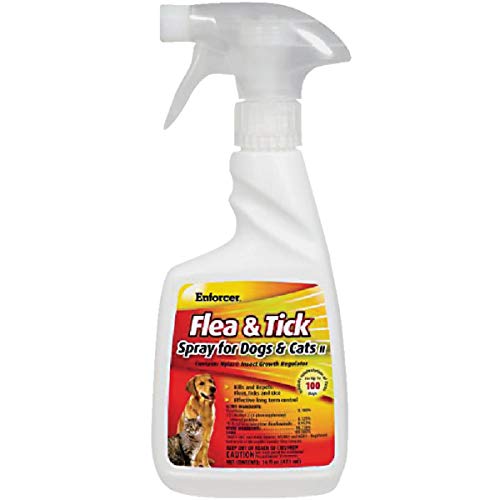 Best Enforcer Flea Spray