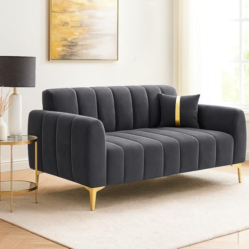 Image of FURNY Harmony 2 Seater Velvet Fabric Sofa Set (Dark Grey) with Golden Finish Legs | Durable & Comfortable | Ideal for Living Room