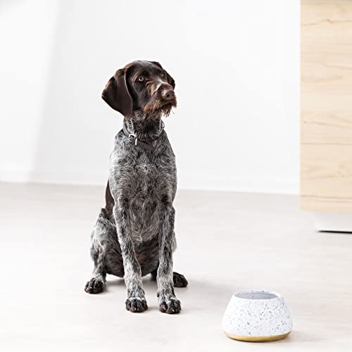 Navaris Design Futternapf aus Steingut - hoher Hundenapf - Fressnapf Futterschale - Napf für Cocker Spaniel Hund und langohrige Hunde - Langohrnapf