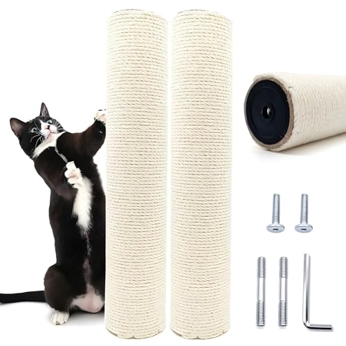 OYANTEN a6.8cm M8 px  L ܂Ƃ Lbg^[ p |[ ܌|[ L^[ ւ