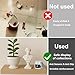 1DFAUL 12 oz Exhibits Fixing Gel for Museum, Removable Clear Museum Paste Putty Wax, Reusable & No Residue, Fixed Collection Artifacts and Decorations to Prevent Vibration, Falling
