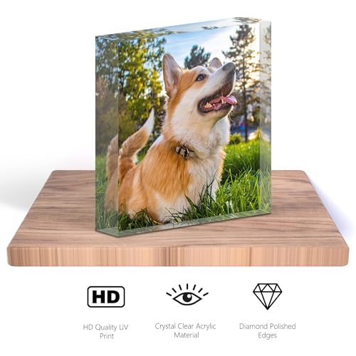 TULLUN Personalisierte Individuelle Benutzerdefinierte Haustier Denkmal Hund Katze Tier Acryl Kristall Klar Block Plaque Plakette Foto Text Name Datum - Vollständiger Druck 3D Effekt