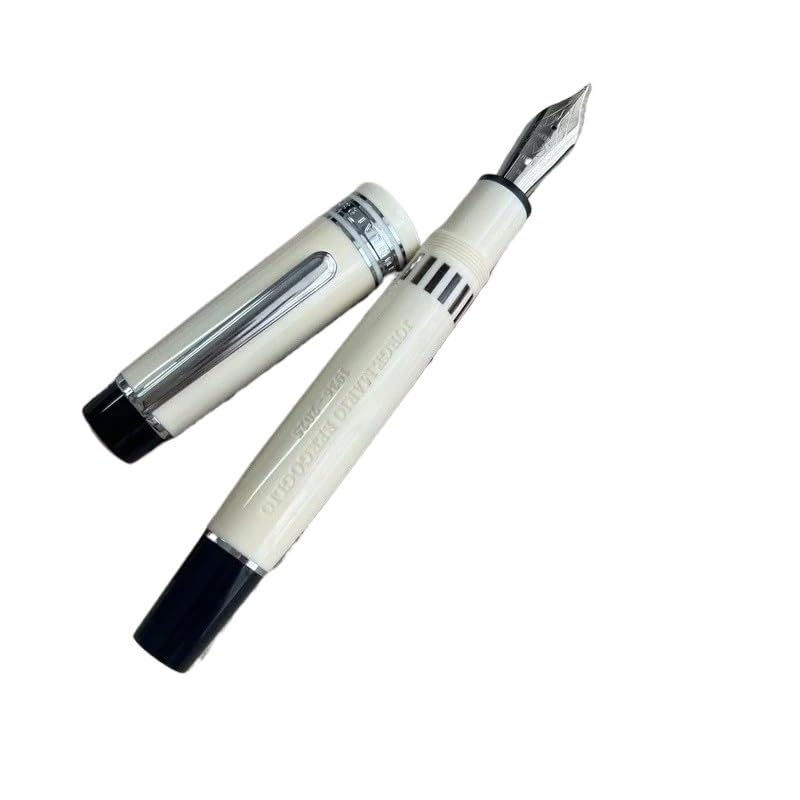 Stylo plume à piston pour étudiants et prise de notes universitaire fluide